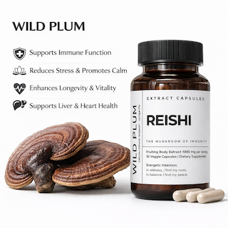 Reishi FP copy