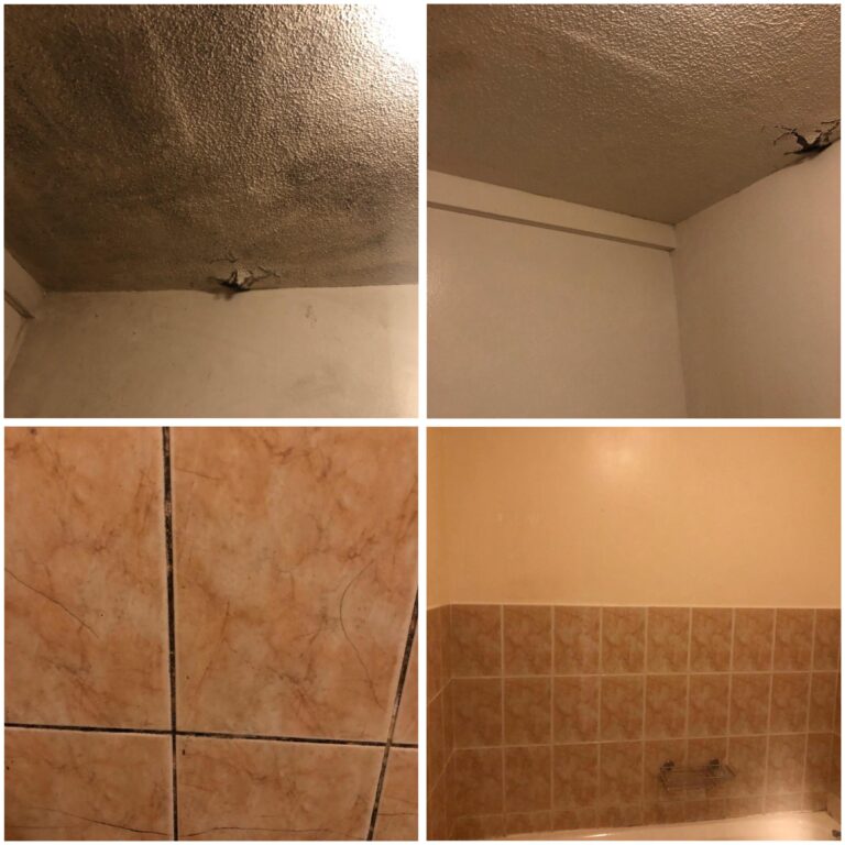 bathroom cleaning 768x768